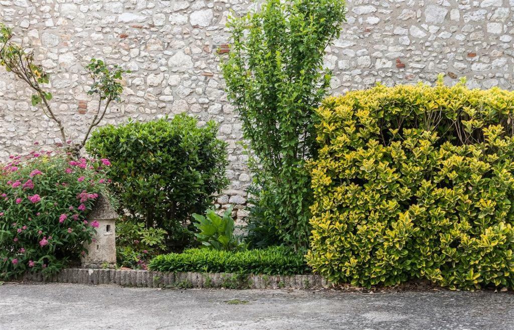 Hotel Du Cygne De La Croix Blanche Lailly-en-Val エクステリア 写真