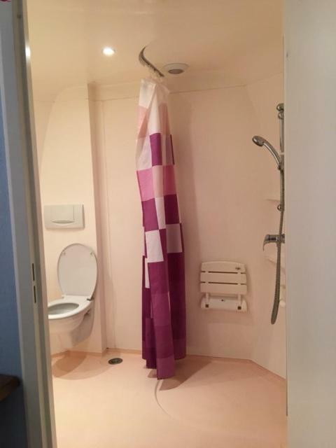 Hotel Du Cygne De La Croix Blanche Lailly-en-Val エクステリア 写真